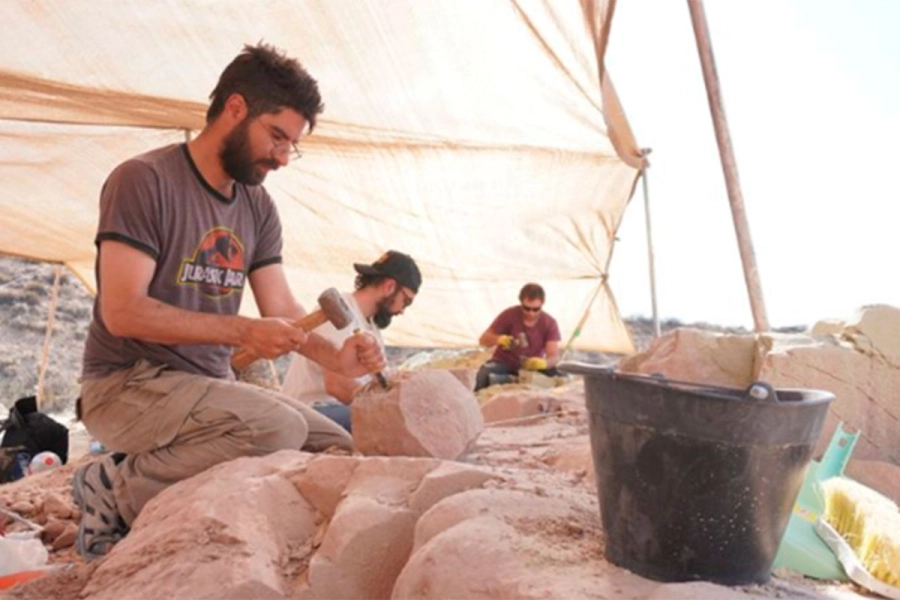 Conicet transmitir&aacute; en vivo la b&uacute;squeda de f&oacute;siles de dinosaurios- DRN