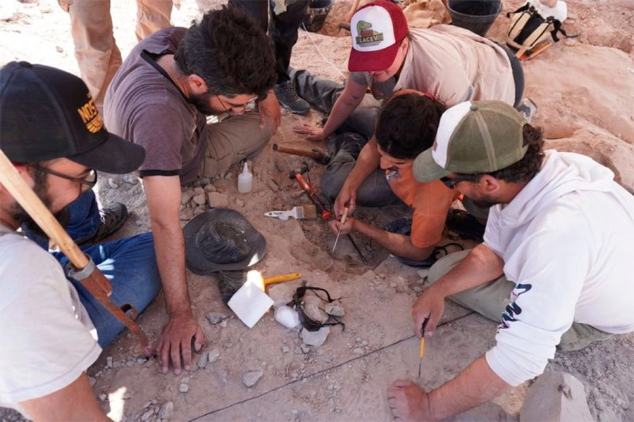 Conicet transmitir&aacute; en vivo la b&uacute;squeda de f&oacute;siles de dinosaurios- DRN