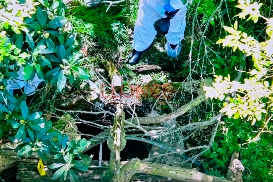 Hallazgo e investigaci&oacute;n en Gobernador Mansilla (foto Elonce)