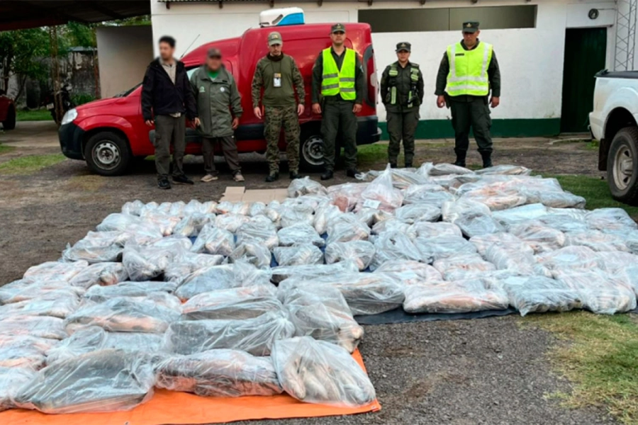 Decomisaron 950 kilos de pescado