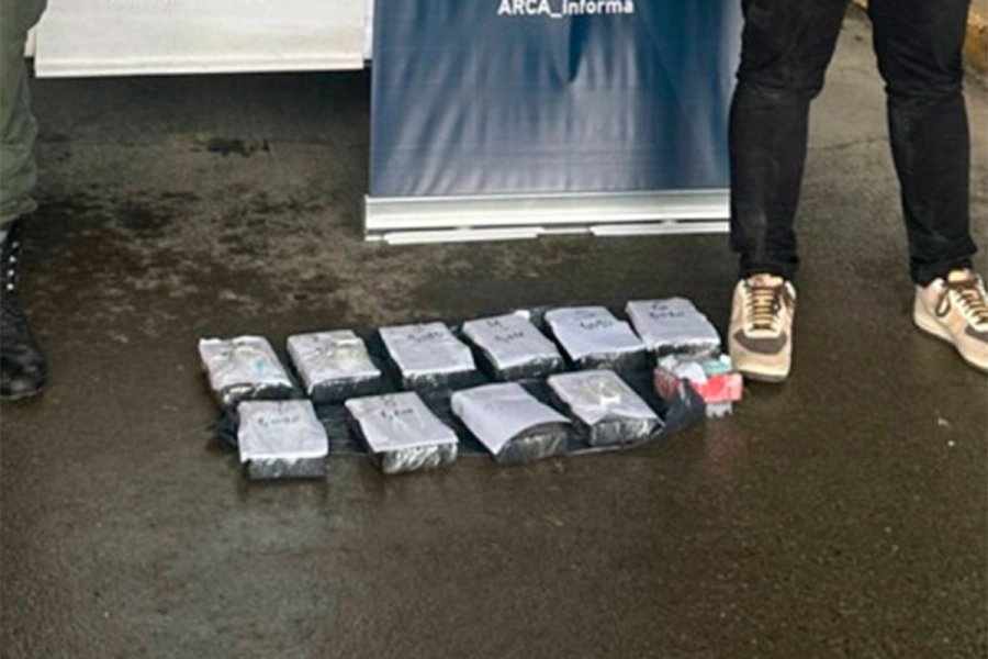 Hallaron m&aacute;s de 10 kilos de coca&iacute;na y casi 200 pastillas de metadona