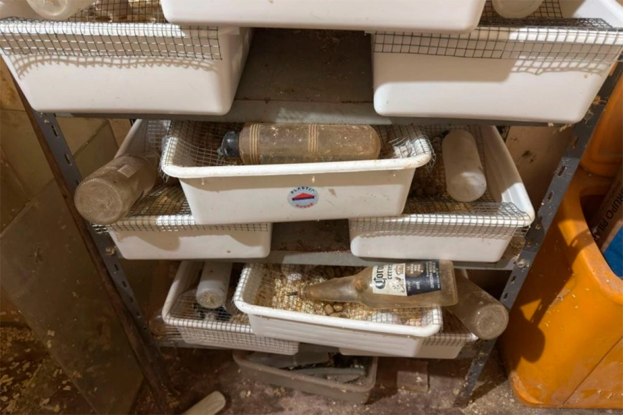 Hallaron tortugas, yacar&eacute;s y monos congelados en una veterinaria y rescataron otros 114 animales