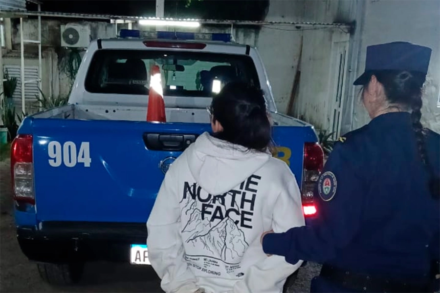 Dos familias discutieron por sus perros y una mujer result&oacute; herida