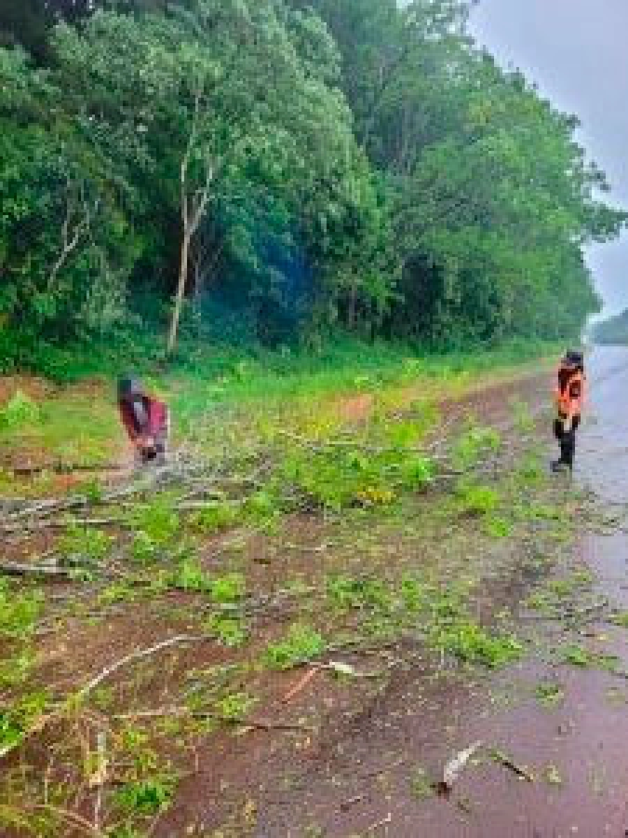 Fuertes r&aacute;fagas y lluvias causaron da&ntilde;os en escuelas y rutas- Misionesonline