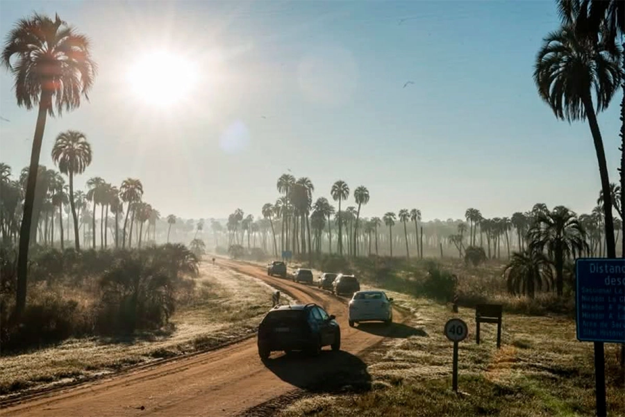 Palmar de Col&oacute;n