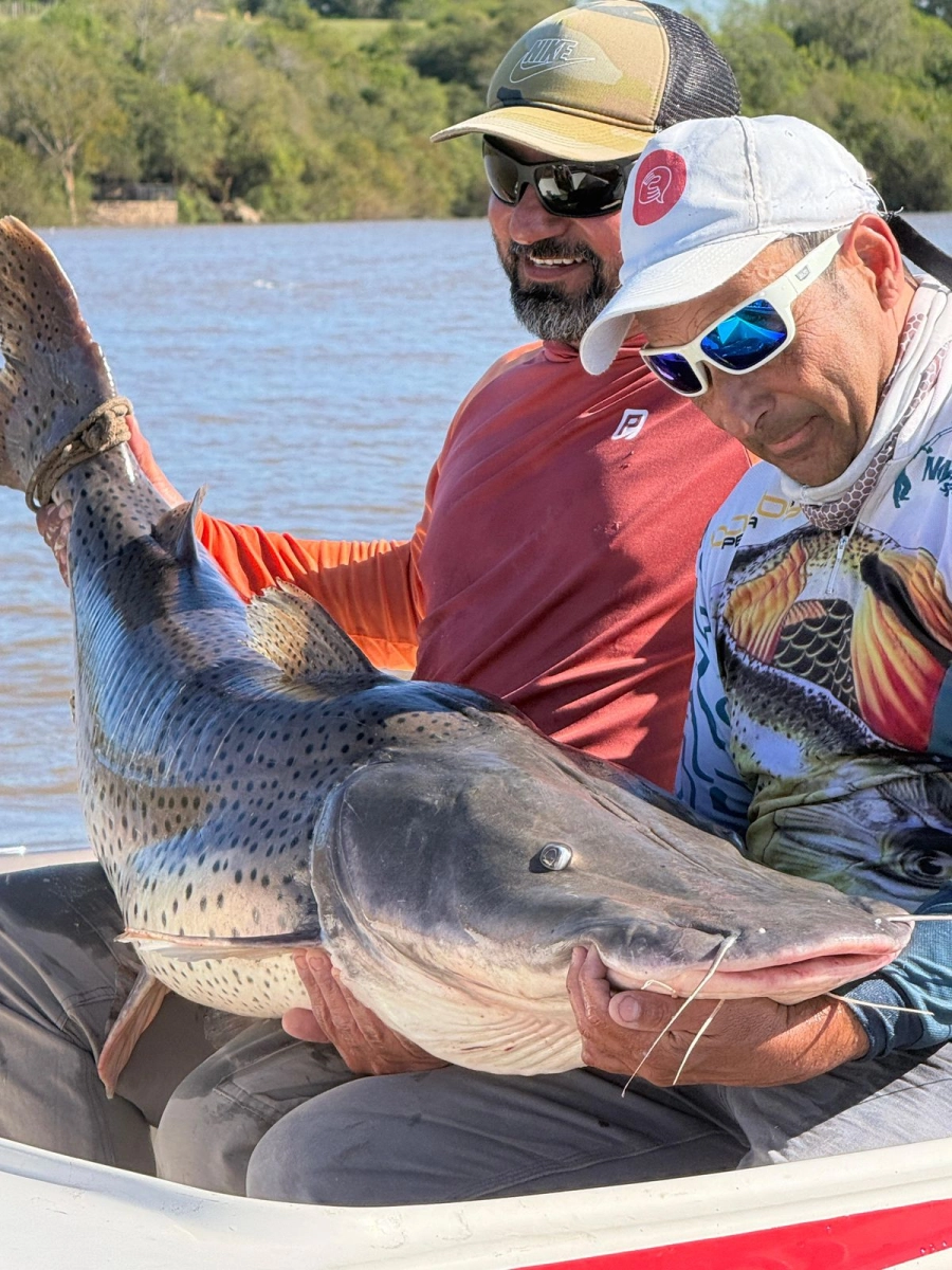 (foto La Dptal. Noticias)