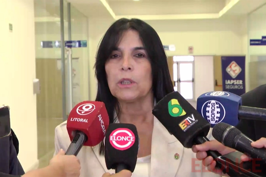 Vicegobernadora Alicia Aluani