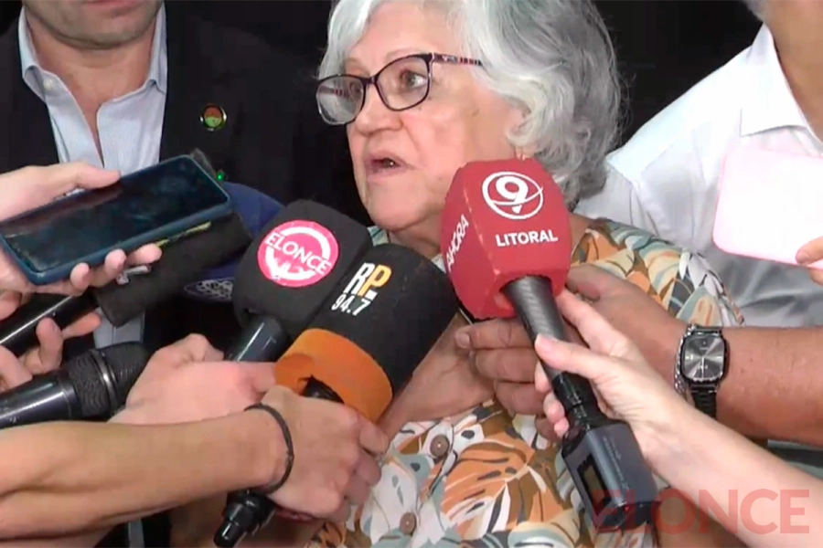 Secretaria de Salud de Paran&aacute;, <b>Claudia Enrique</b>,