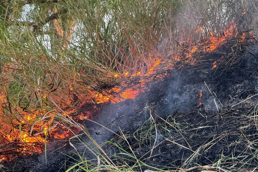 Las llamas en el Parque Varisco este jueves por la tarde. Foto: Bomberos Voluntarios.