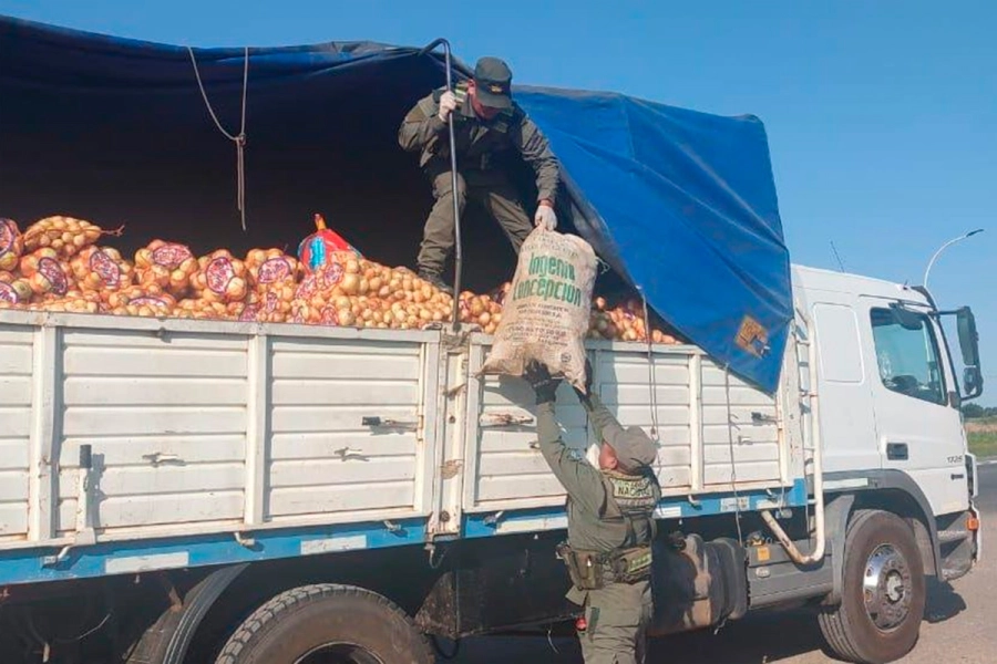 Tr&aacute;fico ilegal de fauna silvestre en Santa Fe