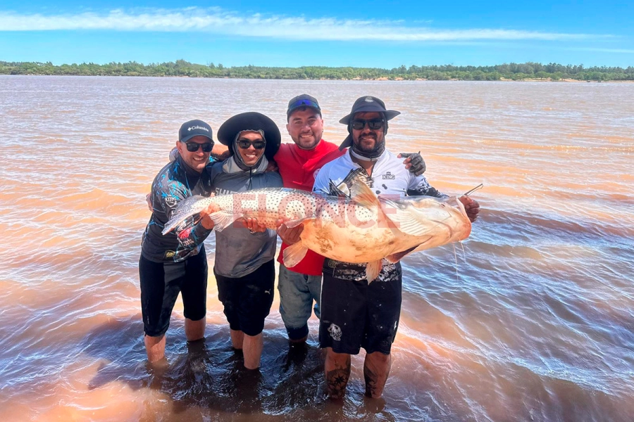 Pescaron enorme surub&iacute; en el r&iacute;o Uruguay y lo devolvieron al agua: &ldquo;una maravilla&rdquo;