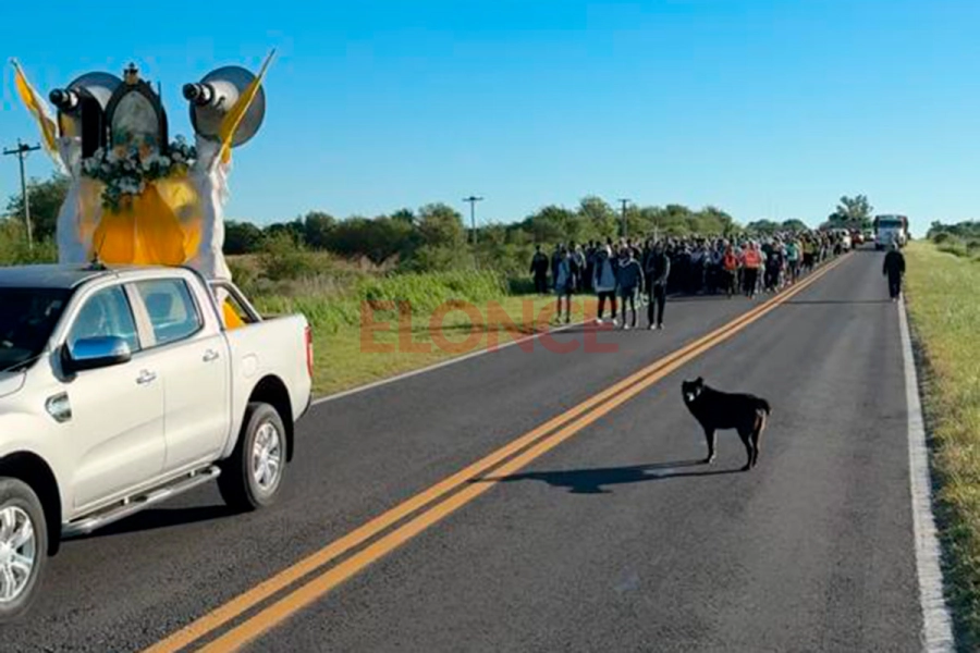 El perrito que acompa&ntilde;&oacute; la Peregrinaci&oacute;n de los Pueblos (foto Elonce)