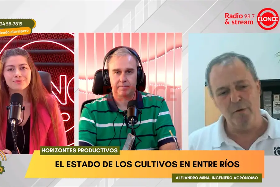 Moviendo el Avispero. Foto: Elonce.