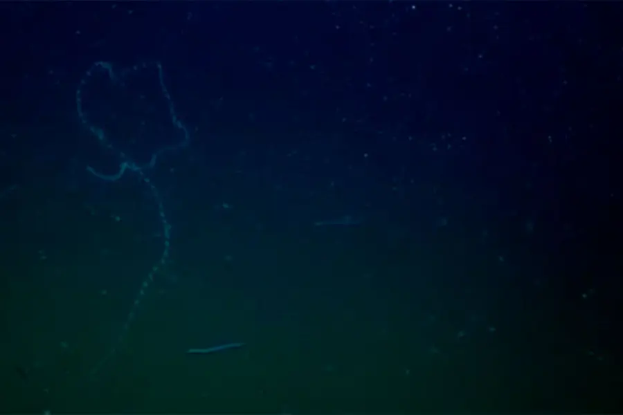 Foto: La Naci&oacute;n.