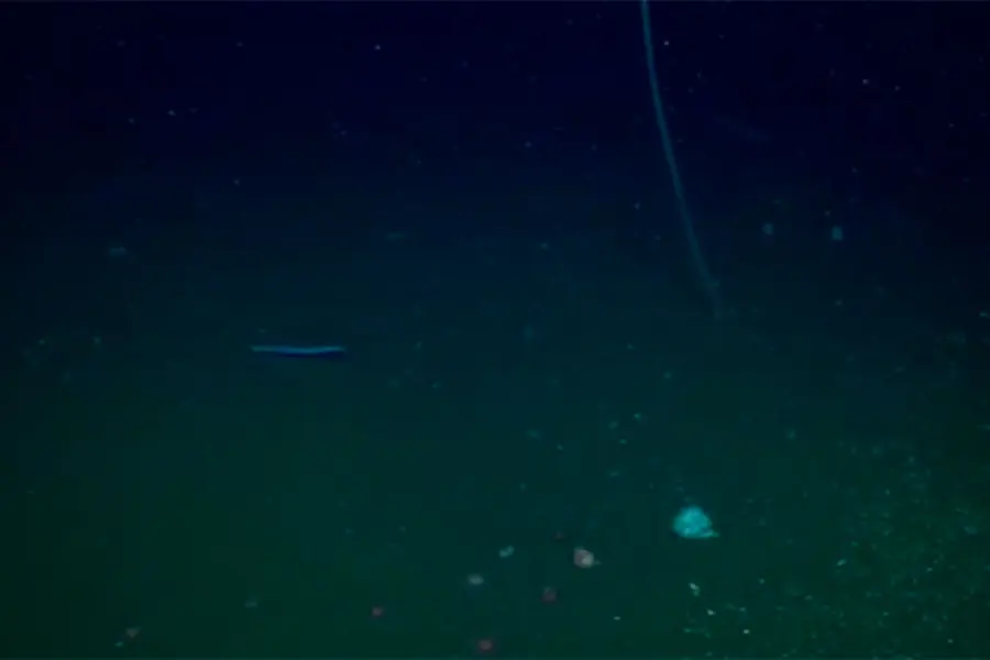 Foto: La Naci&oacute;n.