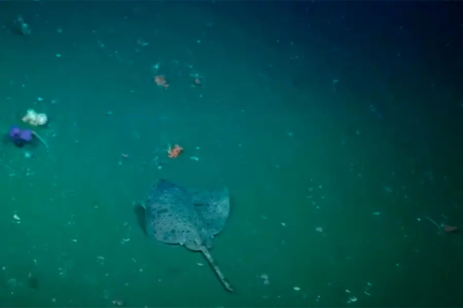 Foto: La Naci&oacute;n.