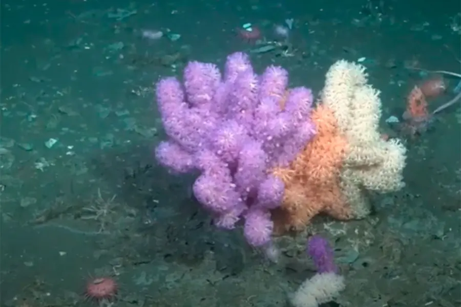 Foto: La Naci&oacute;n.