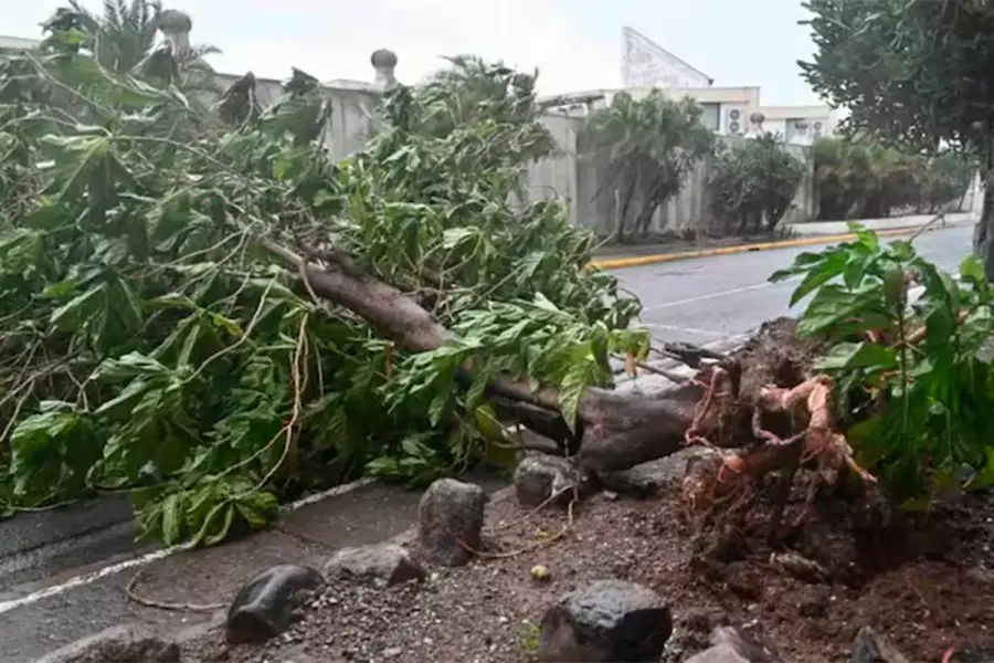 Los primeros reportes del impacto de Melissa en Jamaica hablan de da&ntilde;os en varias zonas -EPA