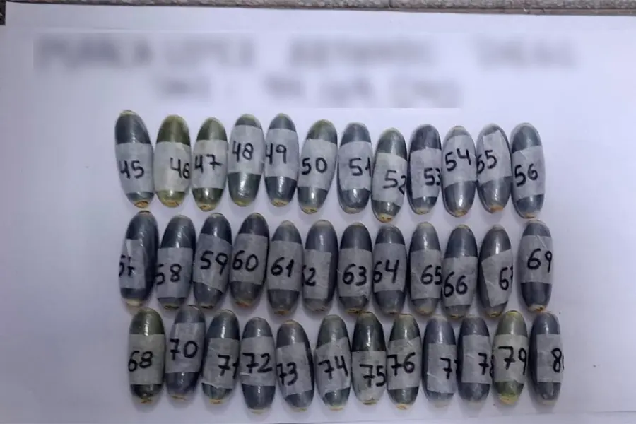 Ingirieron 180 c&aacute;psulas de coca&iacute;na y fueron descubiertos en un control