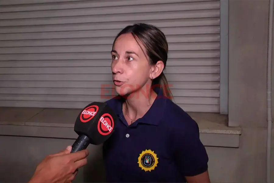 Eliana Galarza, jefa de Delitos Econ&oacute;micos. Foto: Elonce.