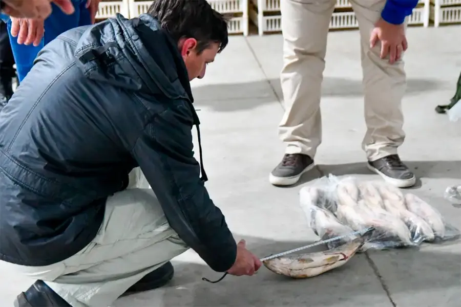 Suspensi&oacute;n de exportaci&oacute;n de pescado en Santa Fe (fuente Aire de Santa Fe)