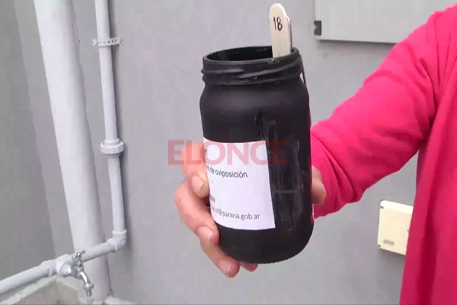 Ovitrampas (foto Elonce)