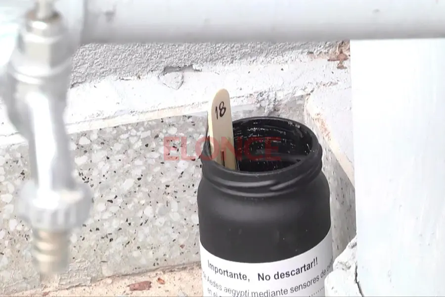 Ovitrampas (foto Elonce)