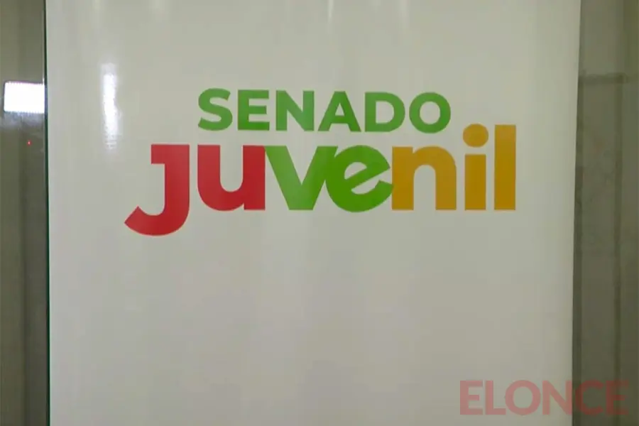 Senado Juevnil
