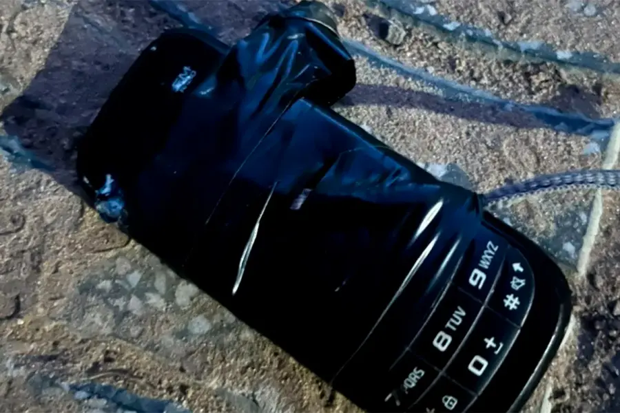 Investigan el origen de un celular atado a la pata de una paloma (foto Aire de Santa Fe)