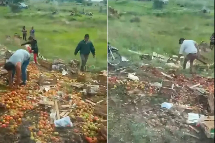 Volc&oacute; un cami&oacute;n cargado con verduras en la Ruta 12 y vecinos se llevaron la carga