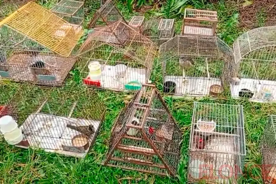 Megaoperativo en Concordia (foto Elonce)