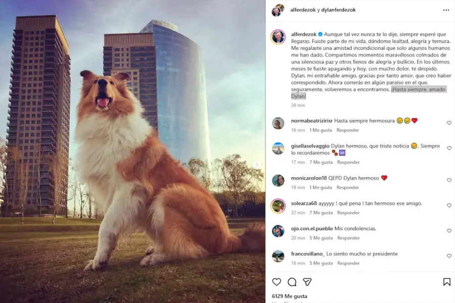 El sentido posteo de Alberto Fern&aacute;ndez sobre la muerte de Dylan. (Foto: Instagram / alferdezok)
