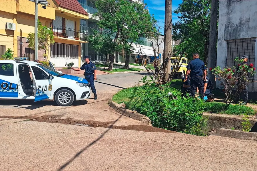 (Canal 5 Col&oacute;n).