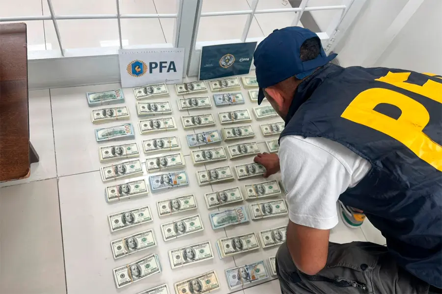 Desarticularon una banda vinculada a "Mameluco" Villalba: secuestraron  490.000 d&oacute;lares, droga y armas