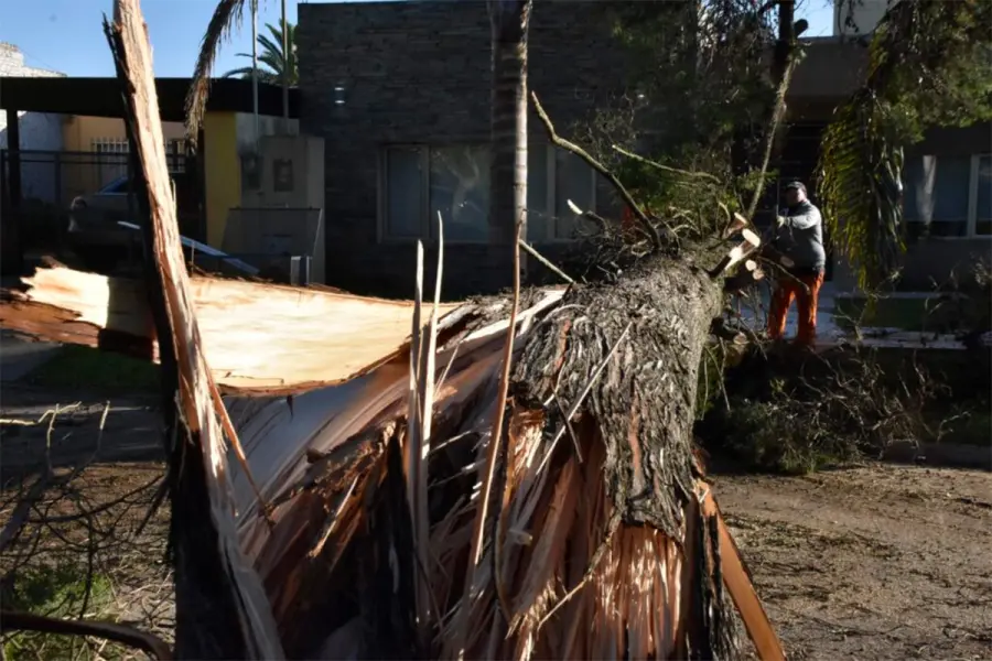 (foto Municipalidad de Crespo)