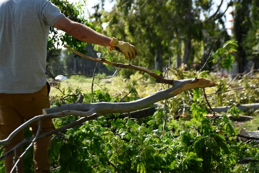 (foto Municipalidad de Crespo)
