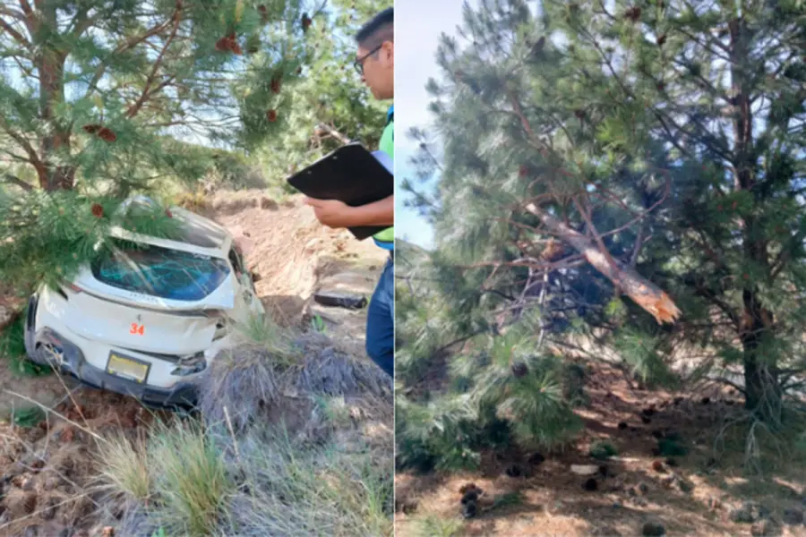 Una Ferrari despist&oacute; y choc&oacute; contra un &aacute;rbol