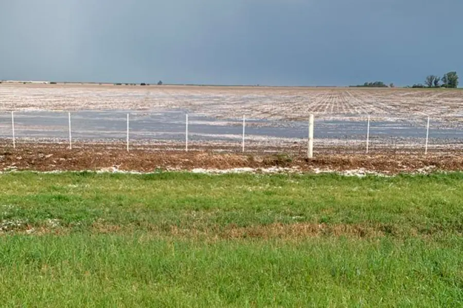 Otra postal de la ca&iacute;da del granizo en una peque&ntilde;a localidad cordobesa. Foto: X.