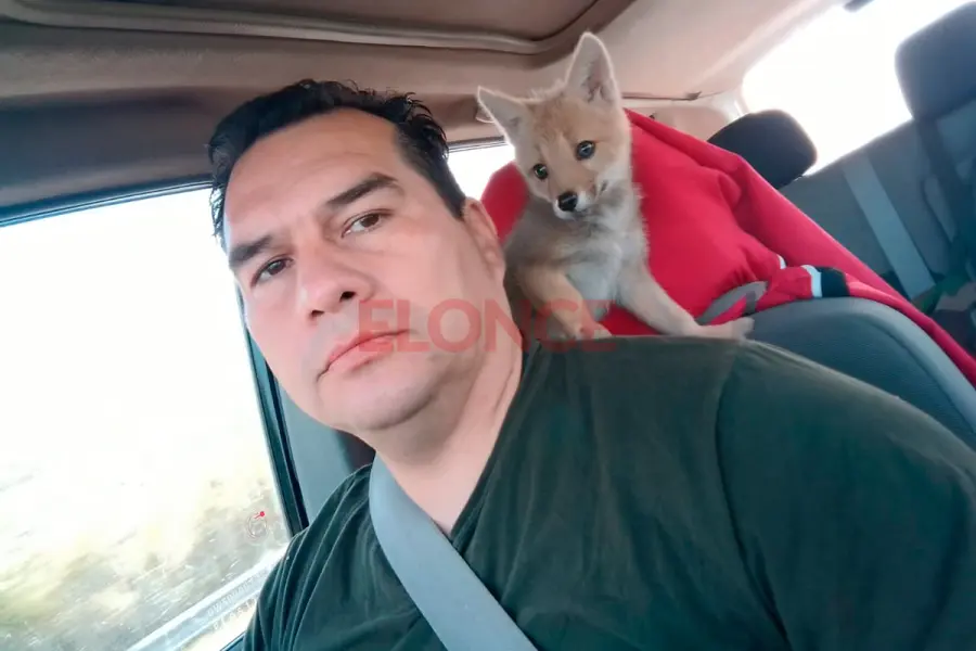 El guardaparque Jaime Borda durante el traslado de la zorrita Carmen (foto Elonce)