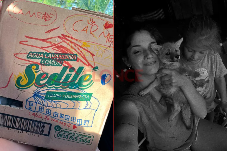 Una familia rescat&oacute; a una zorrita hu&eacute;rfana en Villa Elisa (foto Elonce)