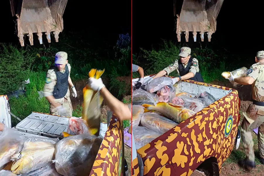 Incautaron 945 kilos de pescados en Diamante: al no ser aptos para consumo, los enterraron en un pozo