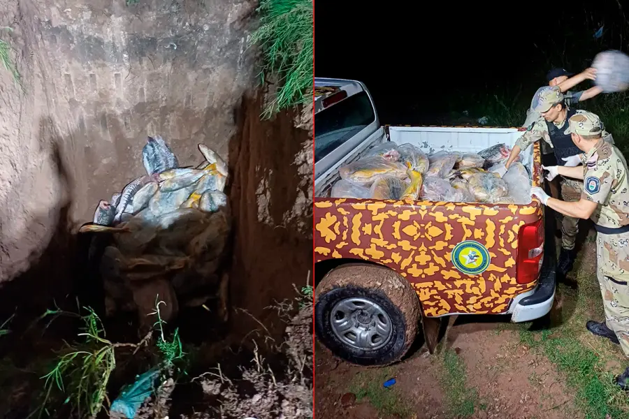 Incautaron 945 kilos de pescados en Diamante: al no ser aptos para consumo, los enterraron en un pozo