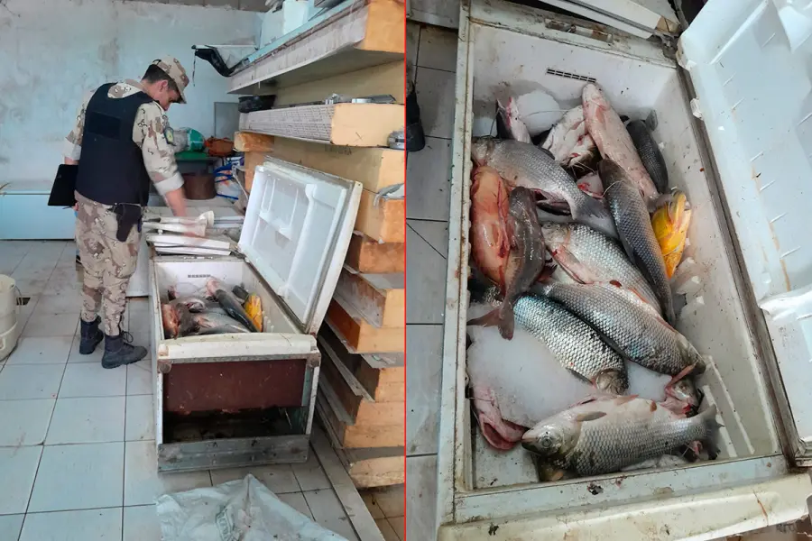 Incautaron 945 kilos de pescados en Diamante: al no ser aptos para consumo, los enterraron en un pozo
