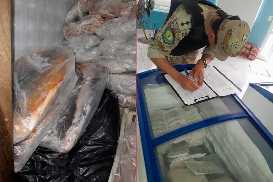 Incautaron 945 kilos de pescados en Diamante: al no ser aptos para consumo, los enterraron en un pozo