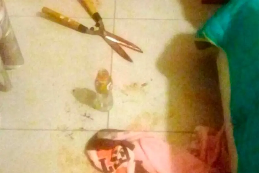 Brenda Barattini atac&oacute; a Sergio F, su amante de 40 a&ntilde;os, con una tijera de podar.