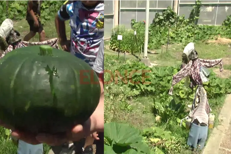 La Escuela Marcelino Román mostró su huerta educativa: 