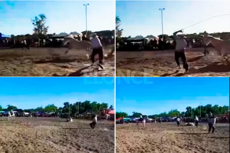 Un caballo murió desnucado en un festival de destrezas criollas en Entre Ríos