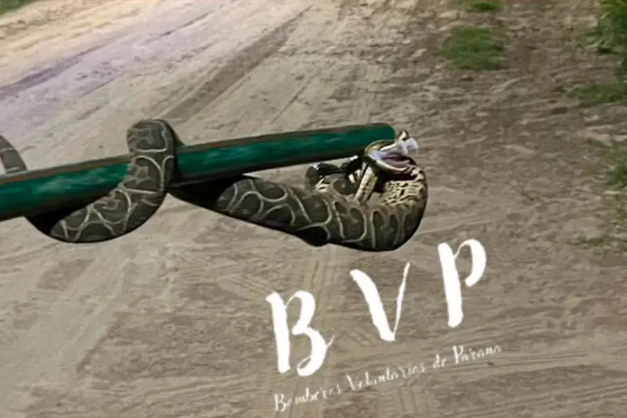 (Foto: Bomberos Voluntarios Paran&aacute;).