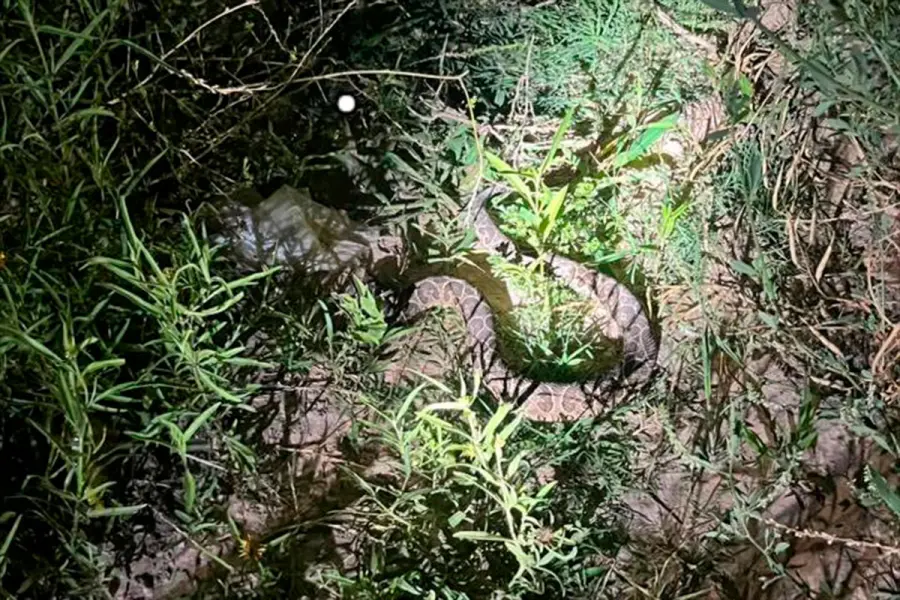 (Foto: Bomberos Voluntarios Paran&aacute;).