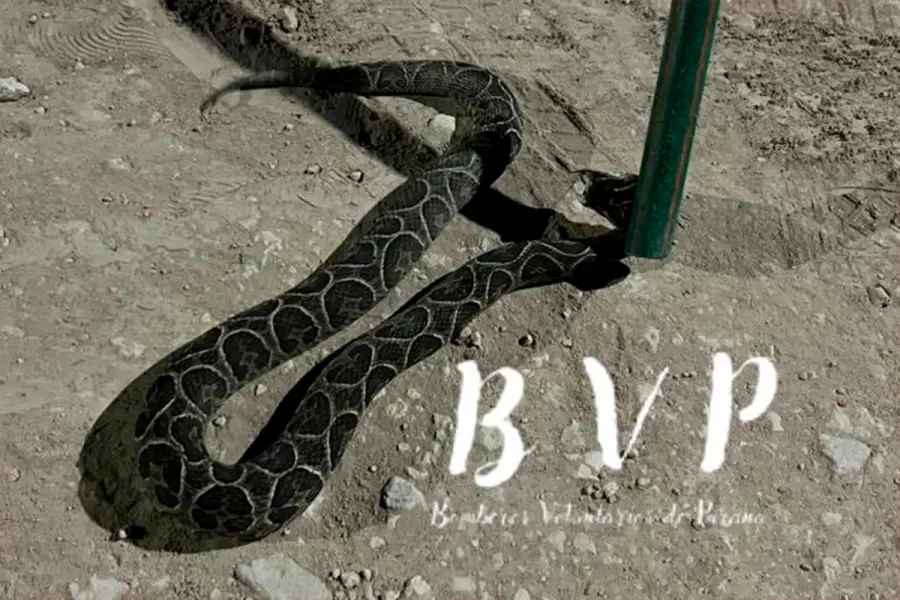 (Foto: Bomberos Voluntarios Paran&aacute;).